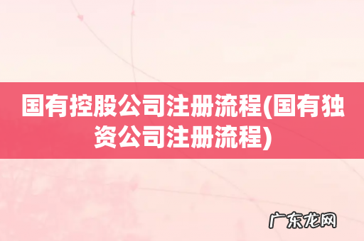 国有独资公司注册流程 国有控股公司注册流程
