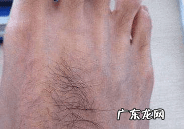 总是伤到脚与风水什么有关 脚的风水图