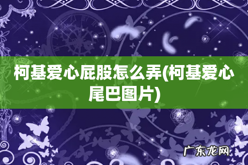 柯基爱心尾巴图片 柯基爱心屁股怎么弄