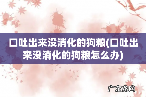 口吐出来没消化的狗粮怎么办 口吐出来没消化的狗粮