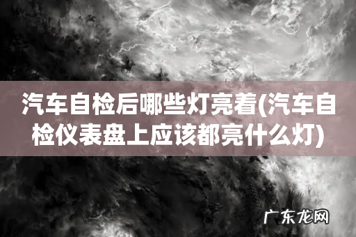 汽车自检仪表盘上应该都亮什么灯 汽车自检后哪些灯亮着