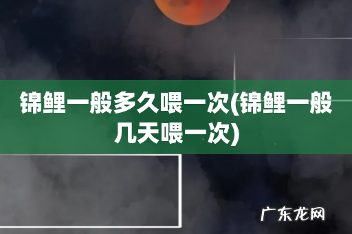锦鲤一般几天喂一次 锦鲤一般多久喂一次