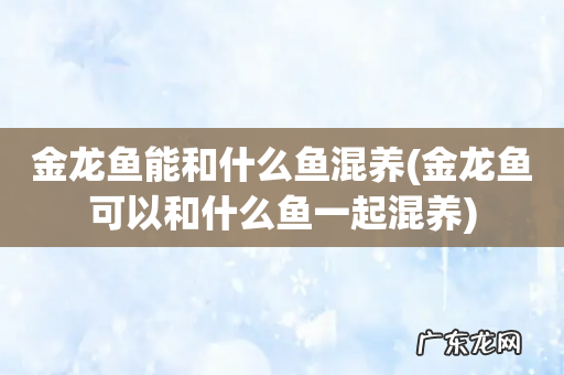 金龙鱼可以和什么鱼一起混养 金龙鱼能和什么鱼混养