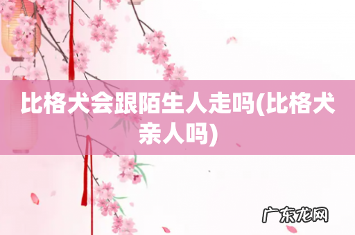 比格犬亲人吗 比格犬会跟陌生人走吗