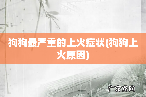 狗狗上火原因 狗狗最严重的上火症状