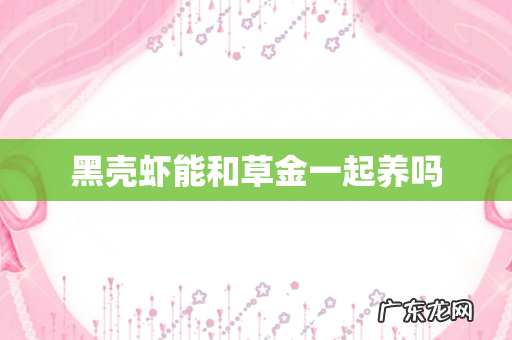 黑壳虾能和草金一起养吗