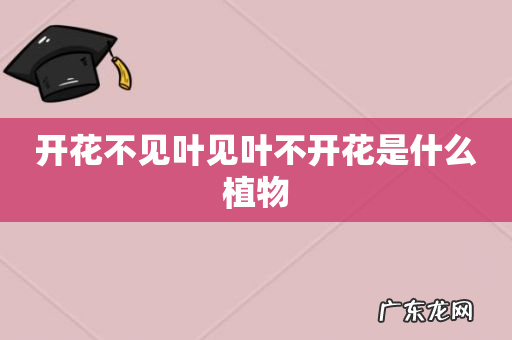 开花不见叶见叶不开花是什么植物