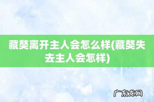藏獒失去主人会怎样 藏獒离开主人会怎么样