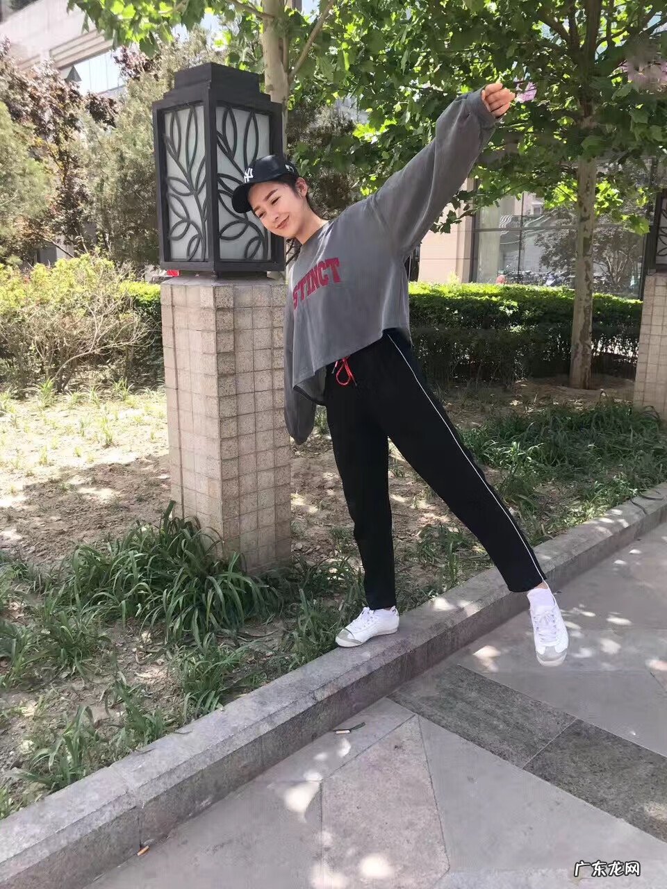 枸杞子泡水作用与功效 每天枸杞泡水喝有什么好处