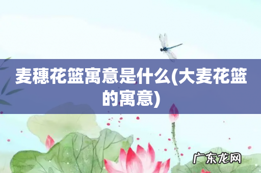 大麦花篮的寓意 麦穗花篮寓意是什么