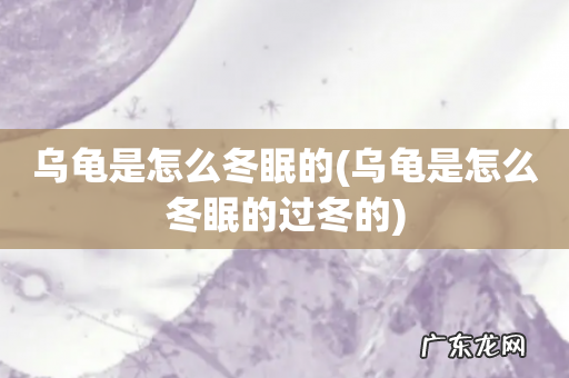 乌龟是怎么冬眠的过冬的 乌龟是怎么冬眠的