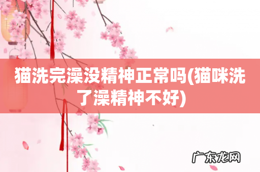 猫咪洗了澡精神不好 猫洗完澡没精神正常吗