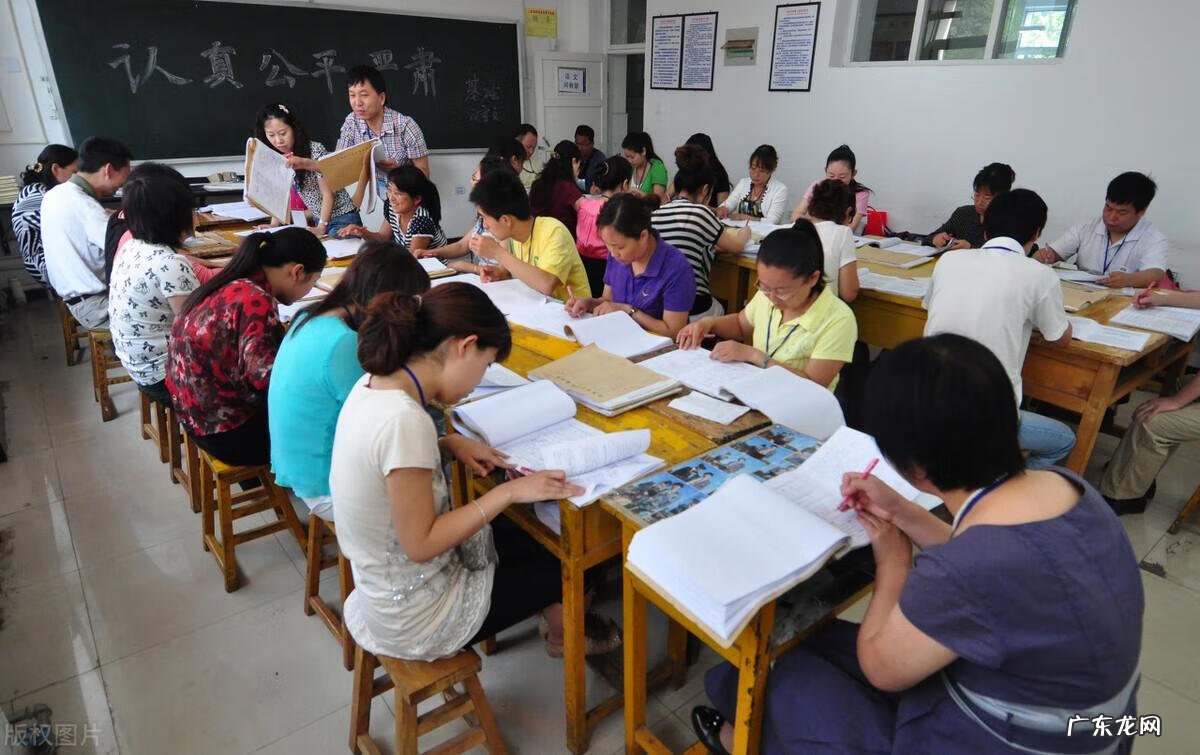 四级评分标准细则包括