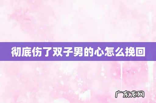 彻底伤了双子男的心怎么挽回