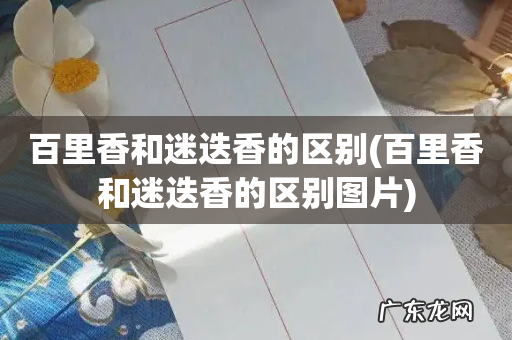 百里香和迷迭香的区别图片 百里香和迷迭香的区别