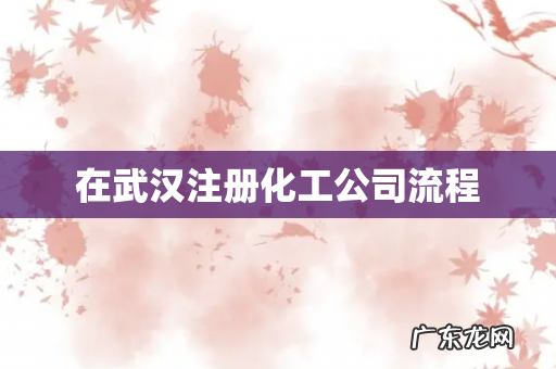 在武汉注册化工公司流程