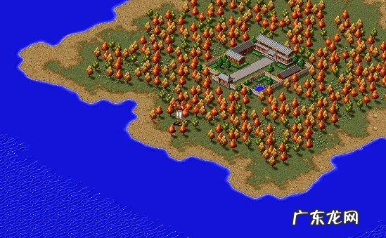 我的新金庸群侠传 小说