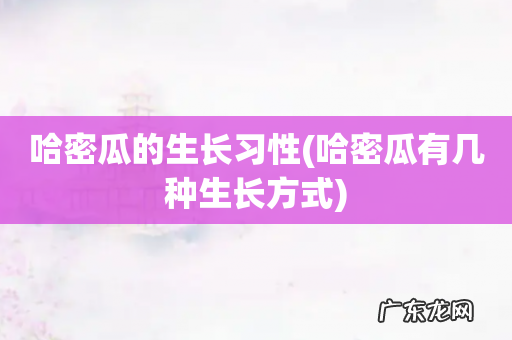 哈密瓜有几种生长方式 哈密瓜的生长习性
