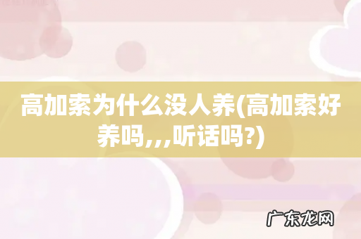 高加索好养吗,,,听话吗? 高加索为什么没人养