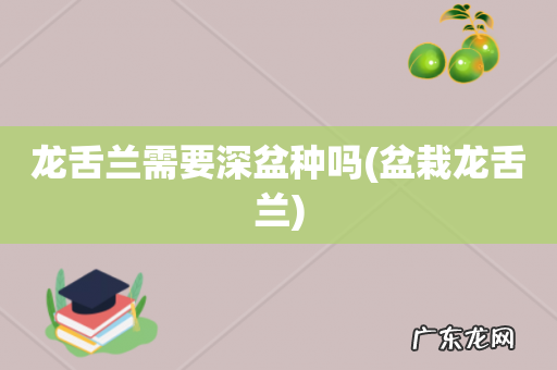 盆栽龙舌兰 龙舌兰需要深盆种吗