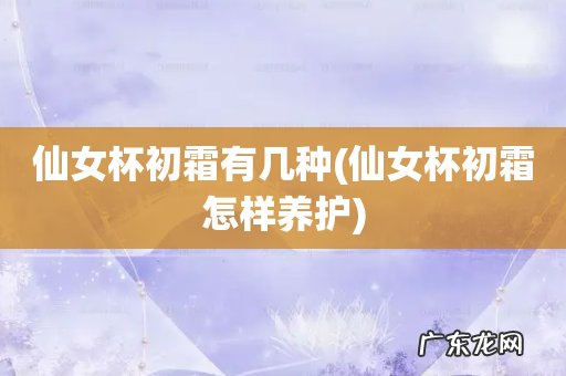 仙女杯初霜怎样养护 仙女杯初霜有几种