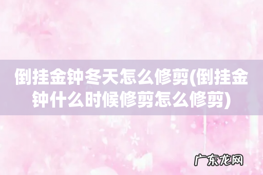 倒挂金钟什么时候修剪怎么修剪 倒挂金钟冬天怎么修剪