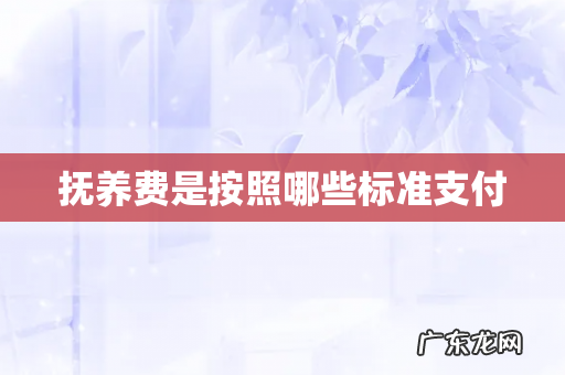 抚养费是按照哪些标准支付