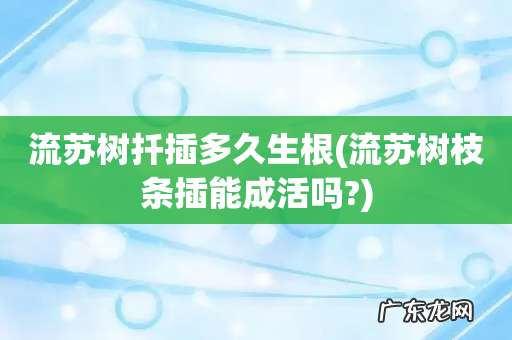 流苏树枝条插能成活吗? 流苏树扦插多久生根