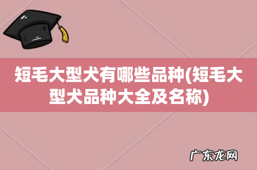 短毛大型犬品种大全及名称 短毛大型犬有哪些品种