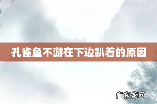 孔雀鱼不游在下边趴着的原因