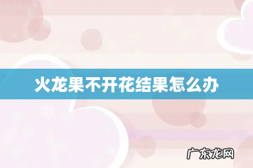 火龙果不开花结果怎么办