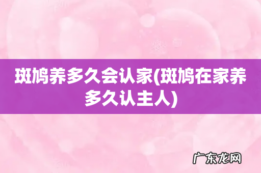 斑鸠在家养多久认主人 斑鸠养多久会认家