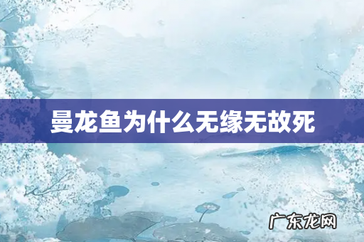 曼龙鱼为什么无缘无故死