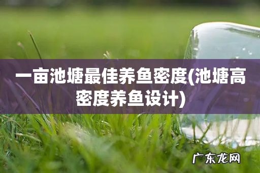 池塘高密度养鱼设计 一亩池塘最佳养鱼密度