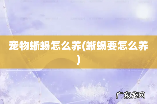 蜥蜴要怎么养 宠物蜥蜴怎么养