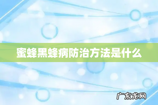 蜜蜂黑蜂病防治方法是什么