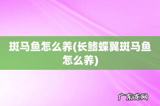 长鳍蝶翼斑马鱼怎么养 斑马鱼怎么养