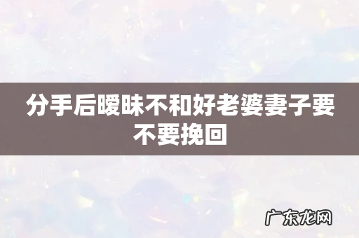 分手后暧昧不和好老婆妻子要不要挽回