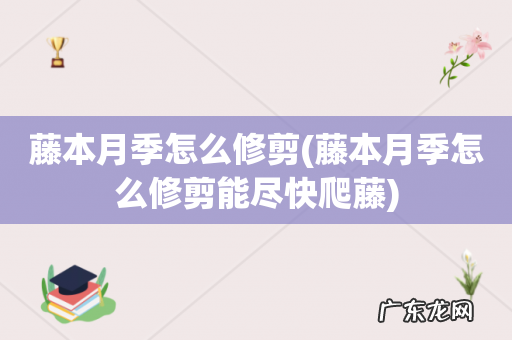 藤本月季怎么修剪能尽快爬藤 藤本月季怎么修剪