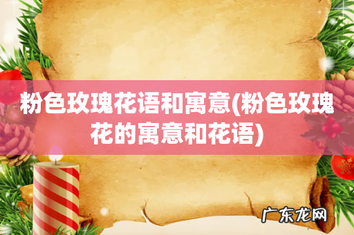 粉色玫瑰花的寓意和花语 粉色玫瑰花语和寓意