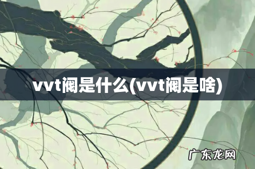 vvt阀是啥 vvt阀是什么