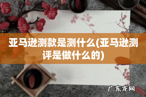 亚马逊测评是做什么的 亚马逊测款是测什么