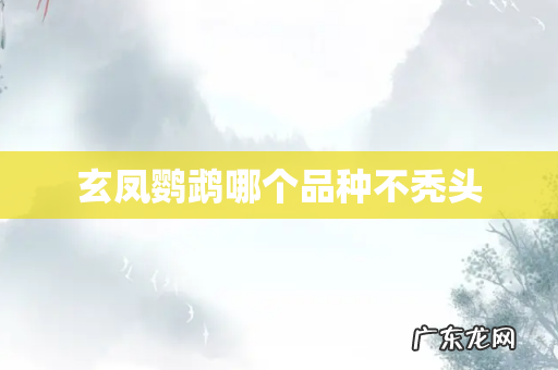 玄凤鹦鹉哪个品种不秃头