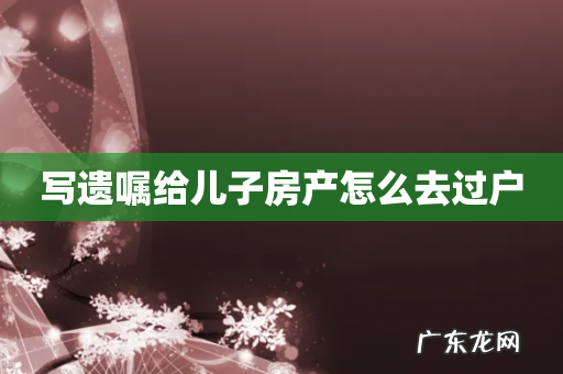 写遗嘱给儿子房产怎么去过户
