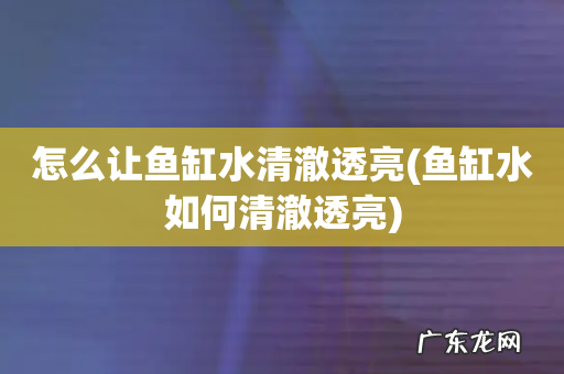 鱼缸水如何清澈透亮 怎么让鱼缸水清澈透亮
