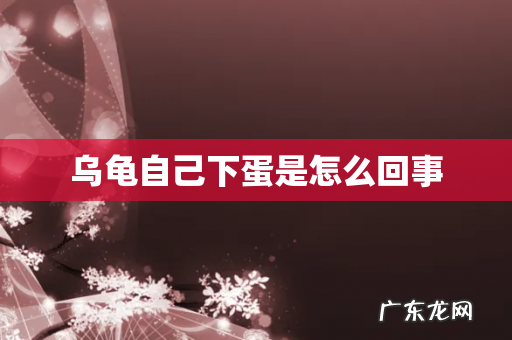 乌龟自己下蛋是怎么回事