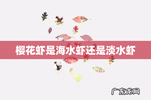 樱花虾是海水虾还是淡水虾