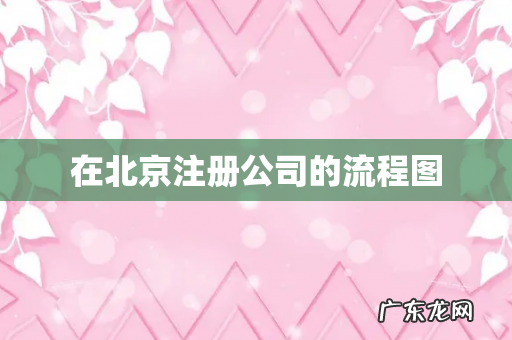 在北京注册公司的流程图