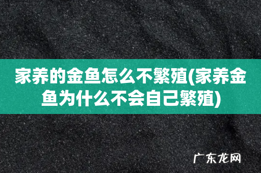 家养金鱼为什么不会自己繁殖 家养的金鱼怎么不繁殖