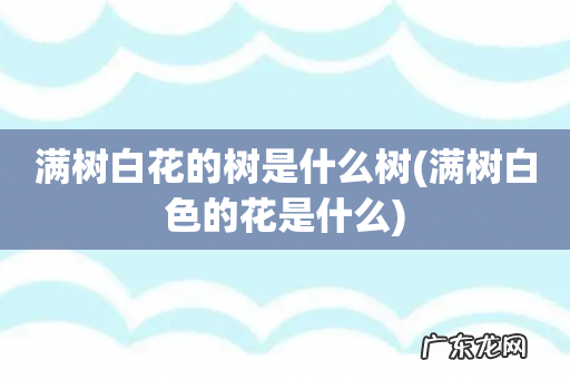 满树白色的花是什么 满树白花的树是什么树